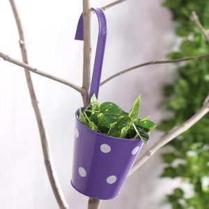 Single Hook Railing Polka Pot